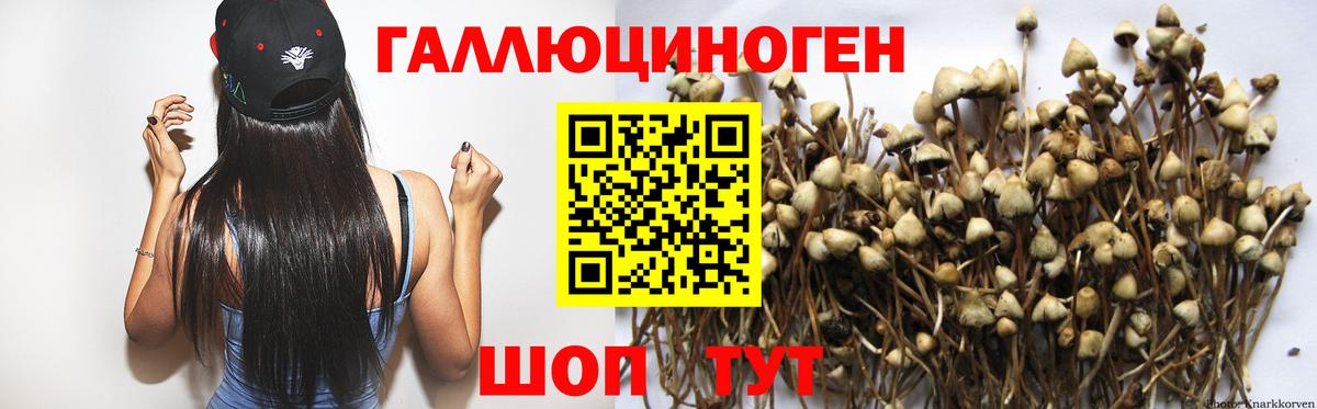 Галлюциногенные грибы Cubensis Краснокамск