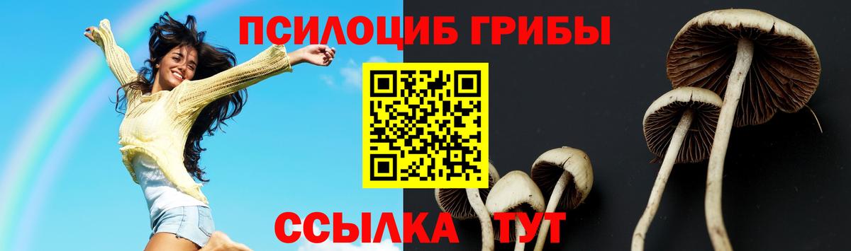 Галлюциногенные грибы Psilocybine cubensis  Вход с VPN  Краснокамск 
